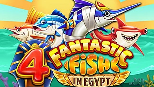 4 Fantastic Fish in Egypt